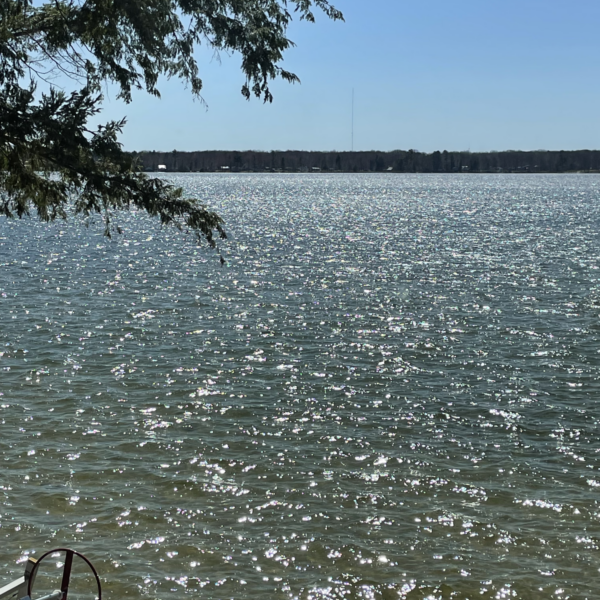 Sunny lake view with tree and water reflections